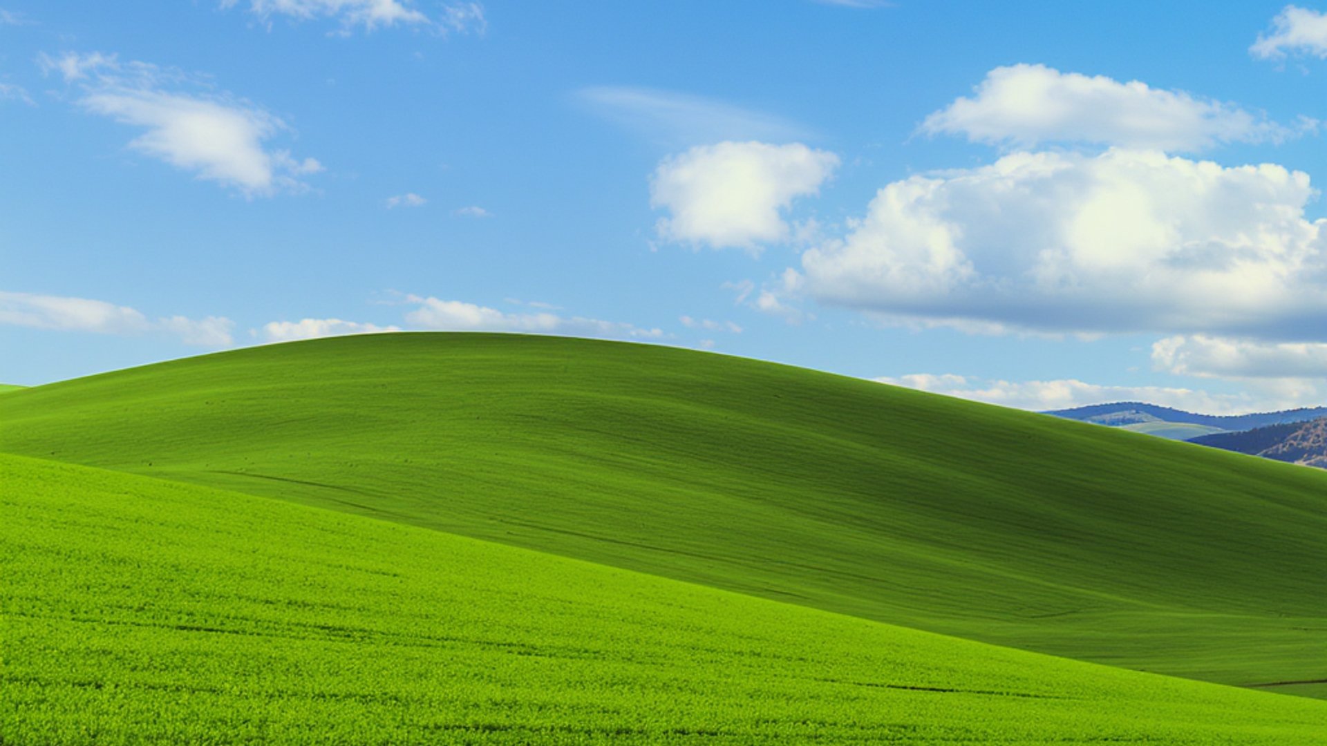 เบื้องหลัง Bliss วอลเปเปอร์ Windows XP ที่คนกว่า 1 พันล้านคนเคยเห็น